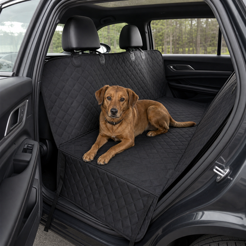Perro viajando sobre Rastro Base instalado en el asiento trasero
